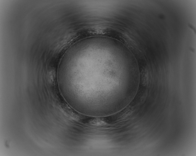 X0000102020747200807181326