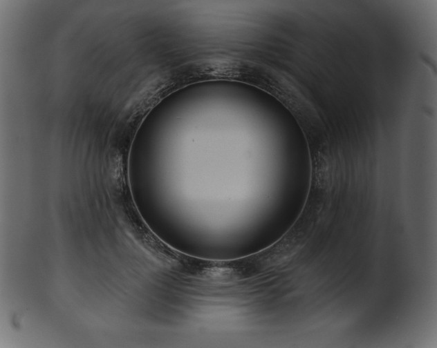 X0000102020748200807181326