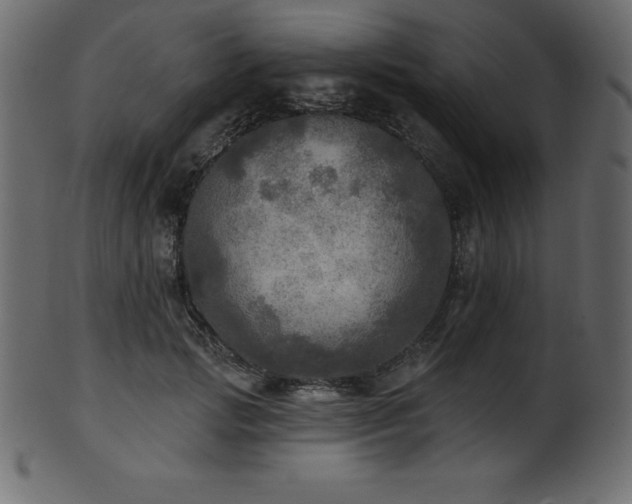 X0000102020749200807181326