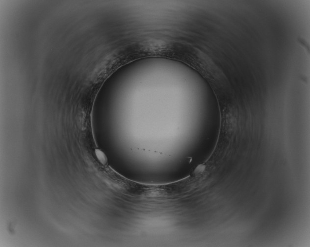 X0000102020750200807181326