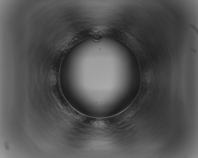 X0000102020751200807181326