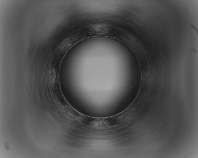 X0000102020752200807181326