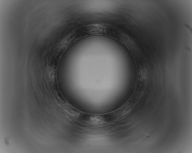 X0000102020753200807181326