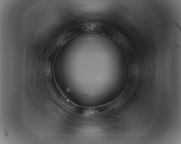 X0000102020754200807181326