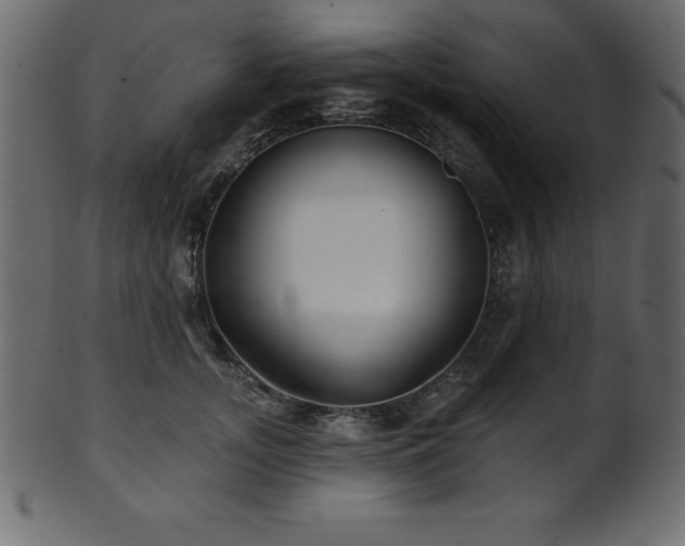 X0000102020755200807181326