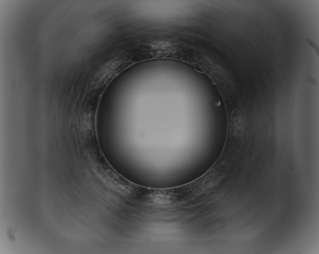 X0000102020756200807181326