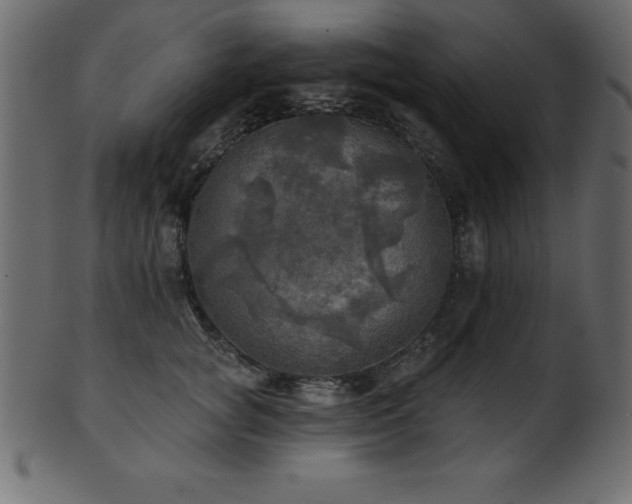 X0000102020757200807181326