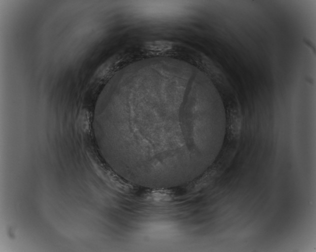 X0000102020758200807181326