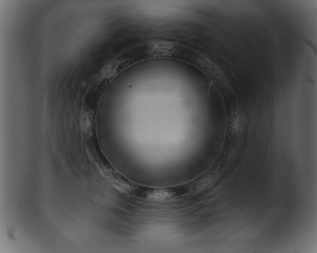 X0000102020759200807181326