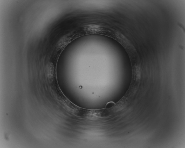 X0000102020760200807181326
