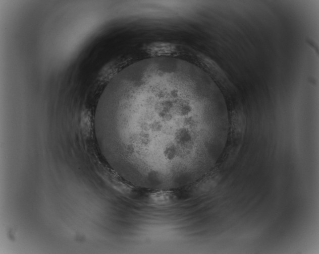 X0000102020761200807181326