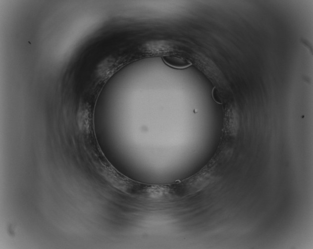 X0000102020762200807181326