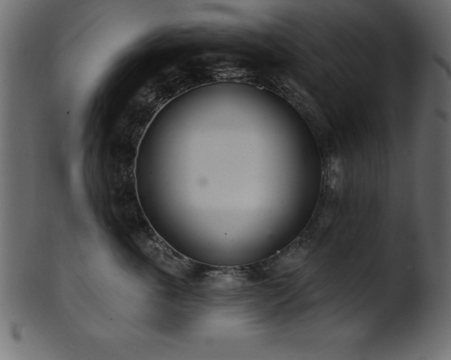 X0000102020763200807181326