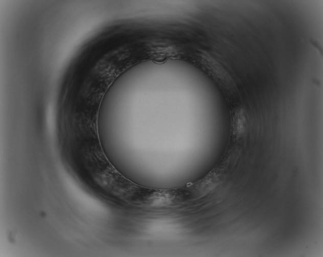 X0000102020764200807181326
