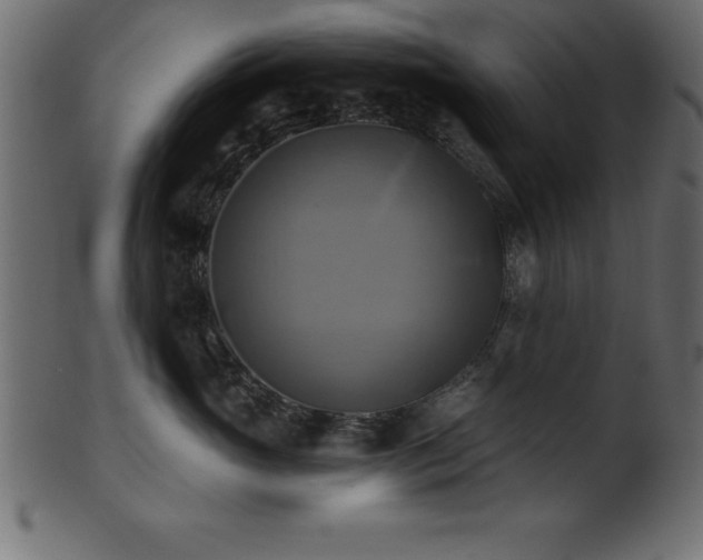 X0000102020765200807181326