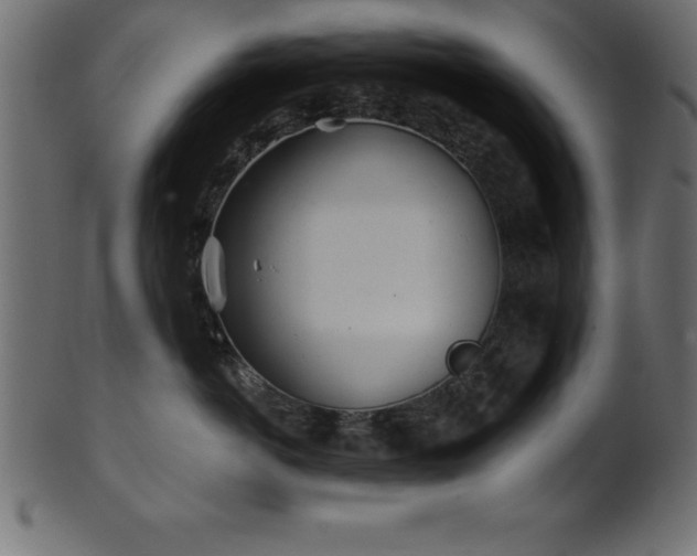 X0000102020766200807181326