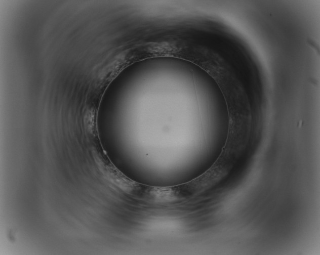 X0000102020767200807181326