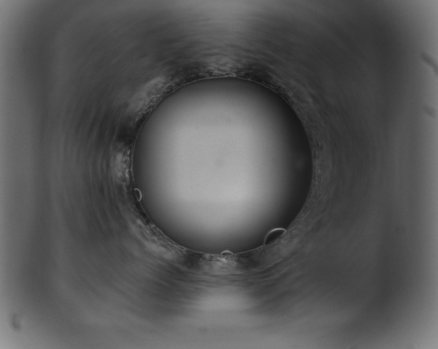 X0000102020768200807181326
