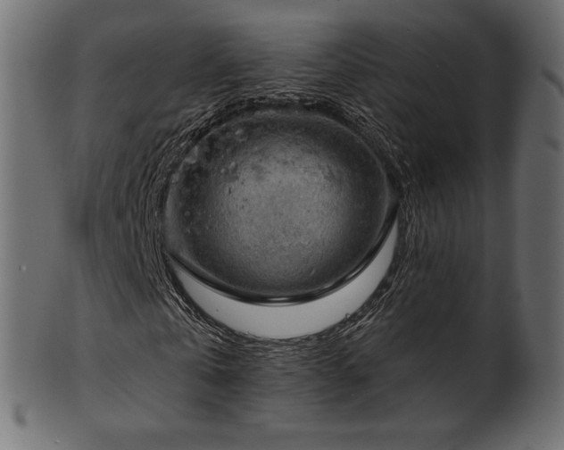 X0000102020769200807181326