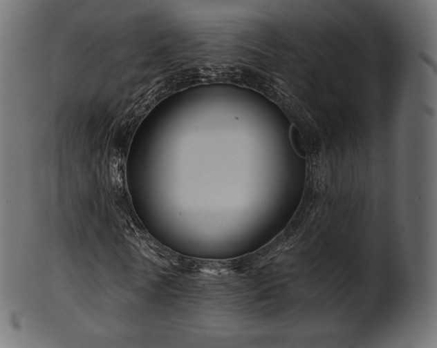 X0000102020770200807181326