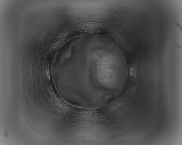 X0000102020771200807181326