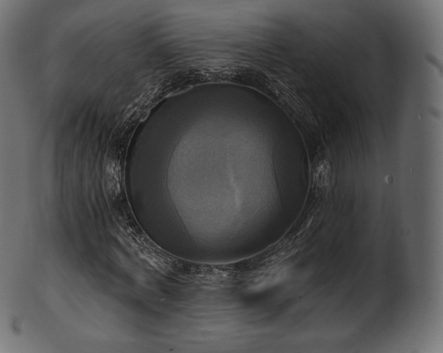 X0000102020772200807181326