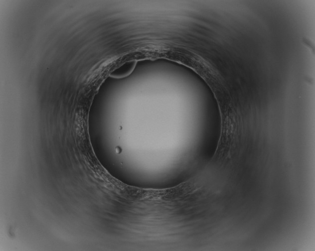 X0000102020773200807181326
