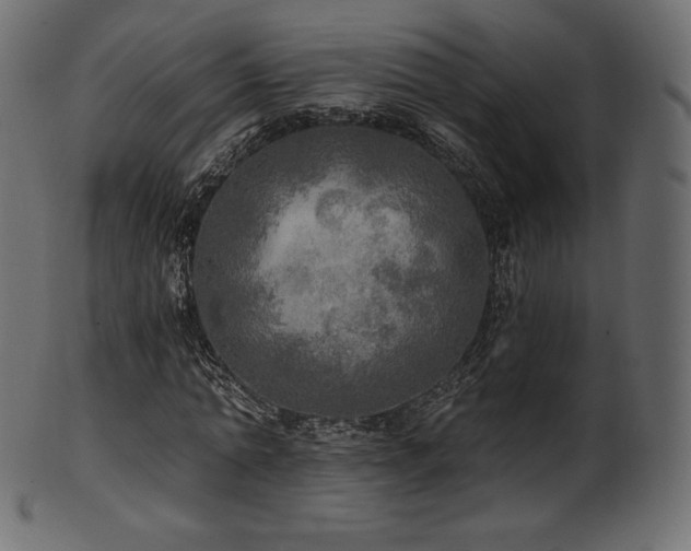 X0000102020774200807181326