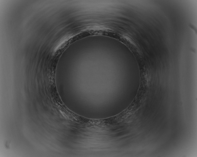 X0000102020775200807181326