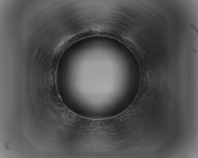 X0000102020776200807181326