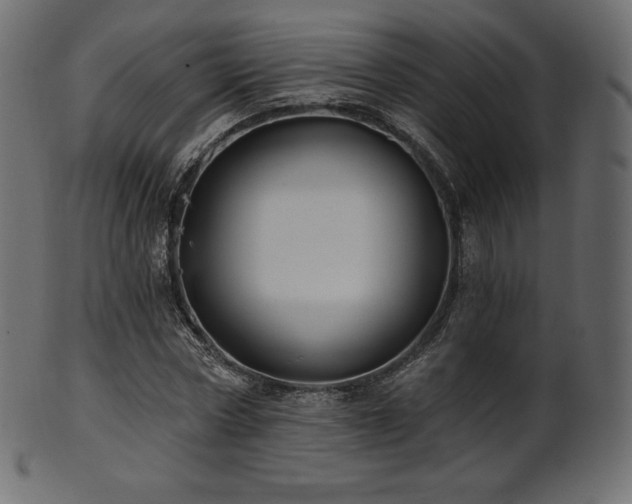 X0000102020778200807181326