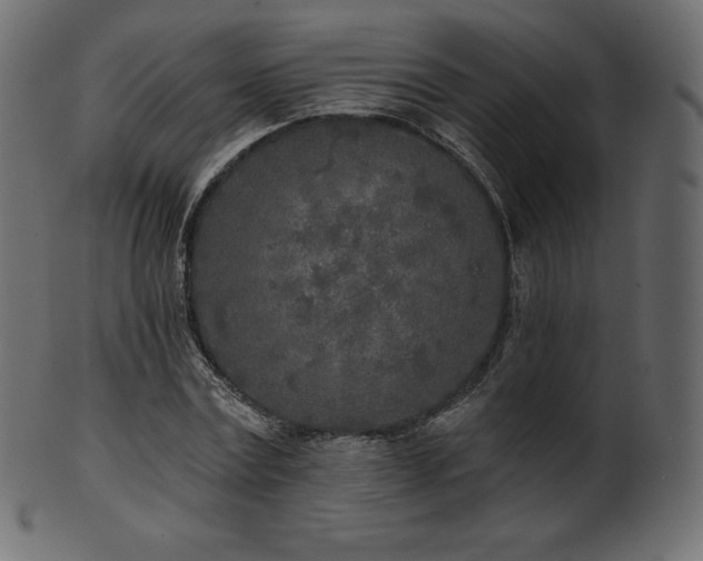 X0000102020779200807181326