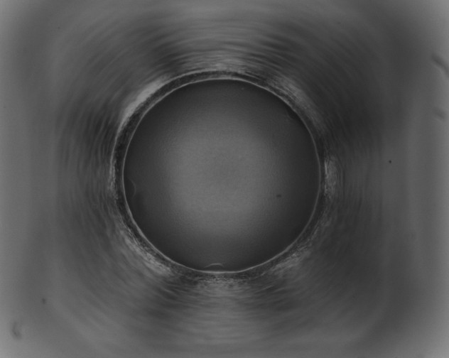 X0000102020780200807181326