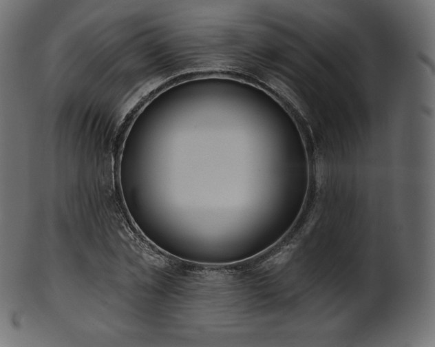 X0000102020781200807181326