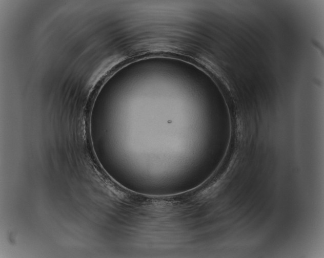 X0000102020782200807181326