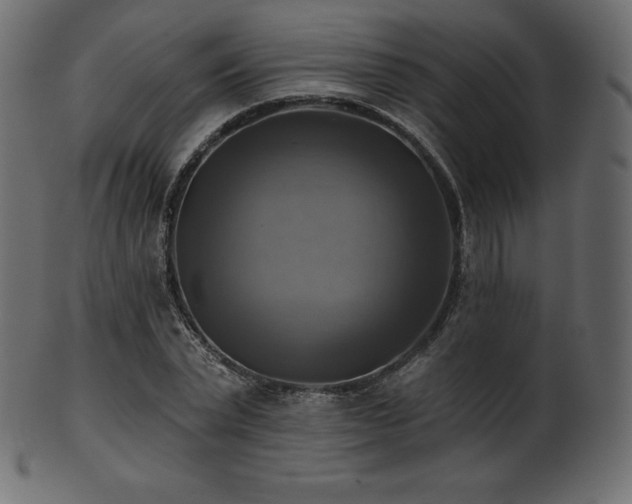X0000102020783200807181326