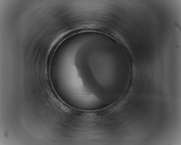 X0000102020784200807181325
