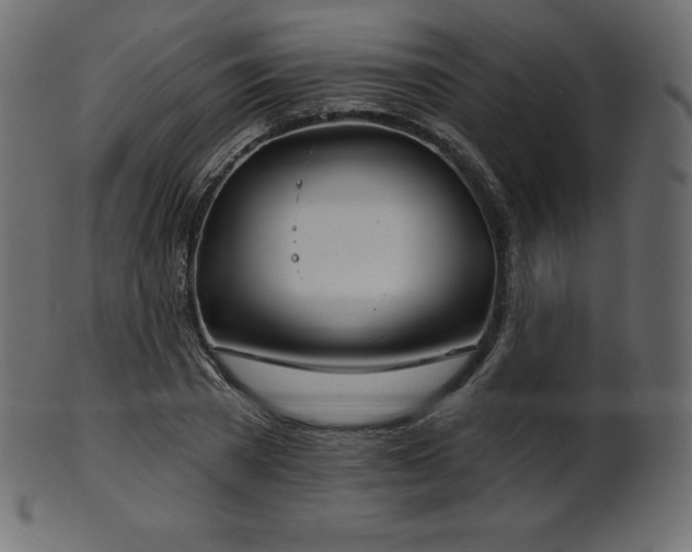 X0000102020785200807181325
