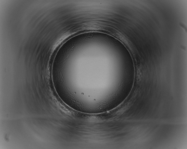 X0000102020787200807181325