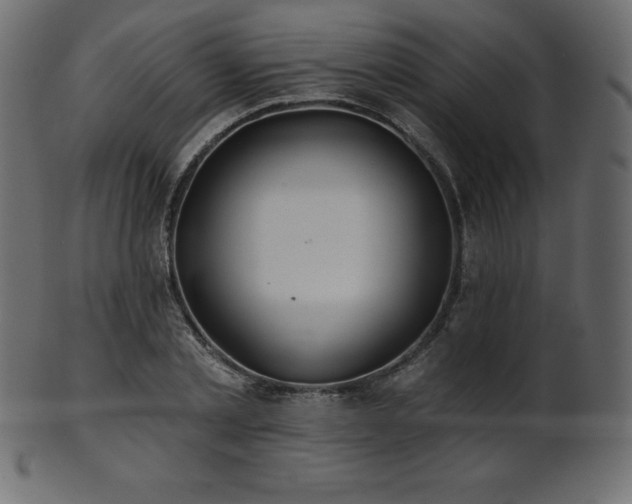 X0000102020789200807181325