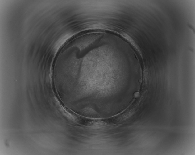 X0000102020791200807181325