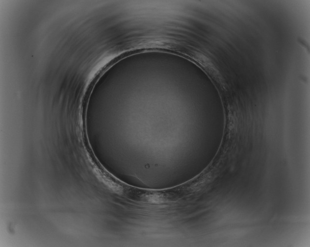 X0000102020792200807181325