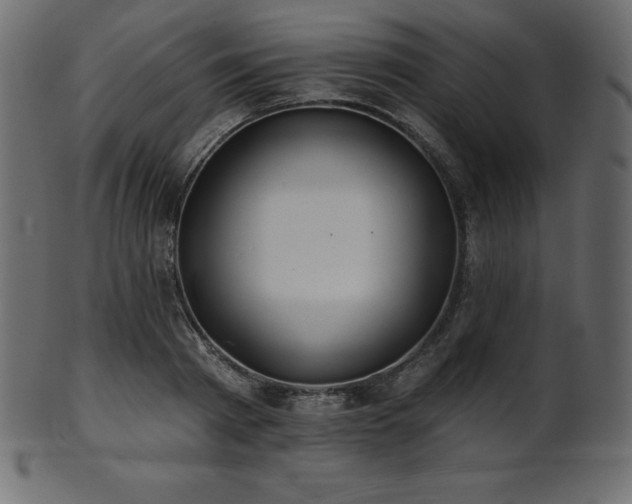 X0000102020793200807181325