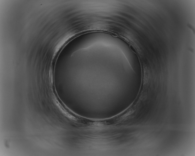 X0000102020796200807181325
