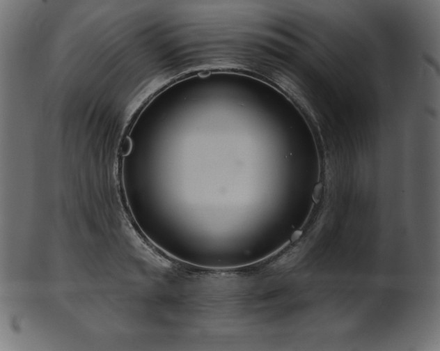 X0000102020797200807181325