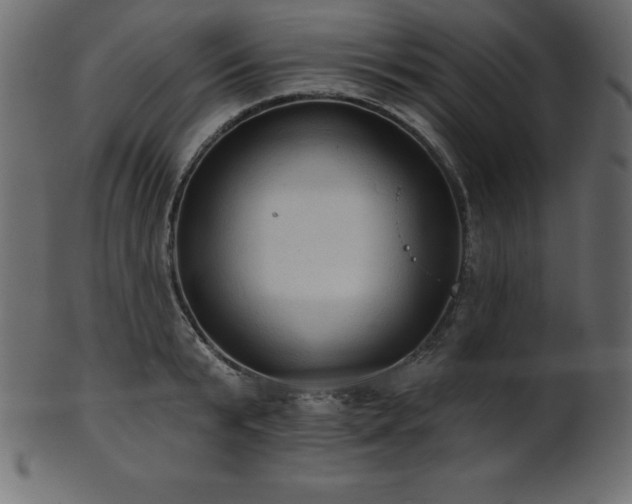 X0000102020799200807181325