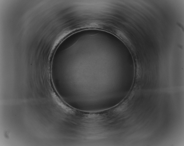 X0000102020800200807181325