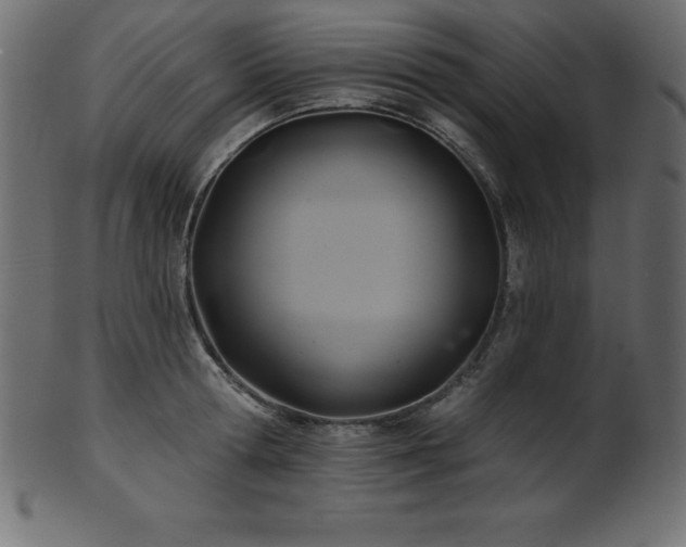 X0000102020802200807181325