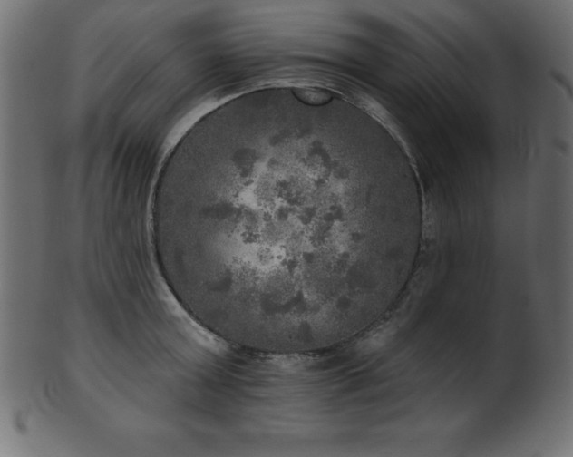 X0000102020803200807181325