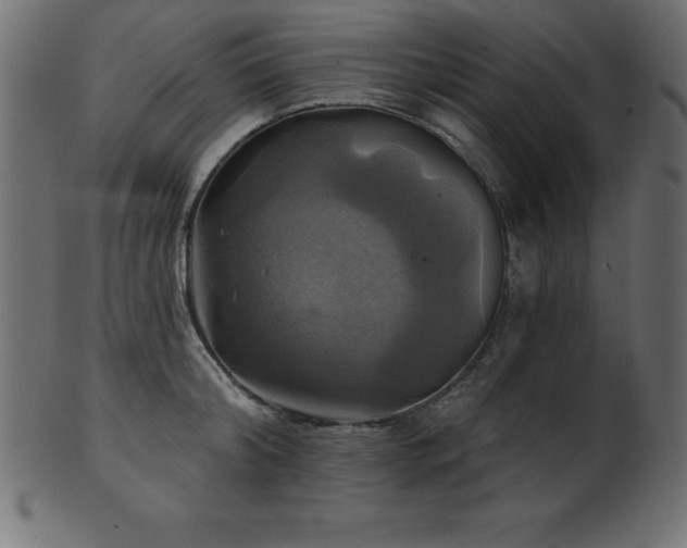 X0000102020804200807181325